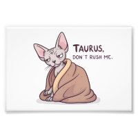 Taurus Sphynx Cat Calm Zodiac Attitude Art