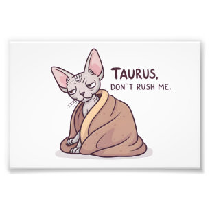 Taurus Sphynx Cat Calm Zodiac Attitude Art Photo Print