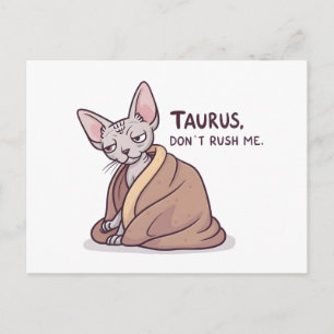 Taurus Sphynx Cat Calm Zodiac Attitude Art Postcard