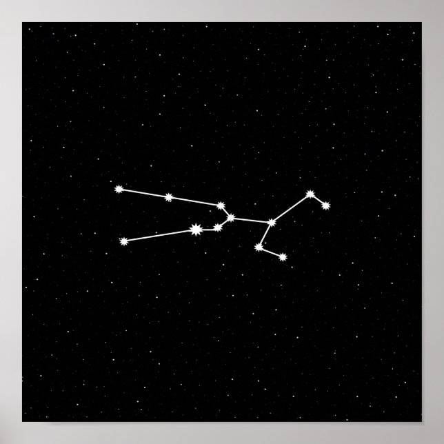 Taurus Zodiac Constellation Modern Black & White Poster (Front)