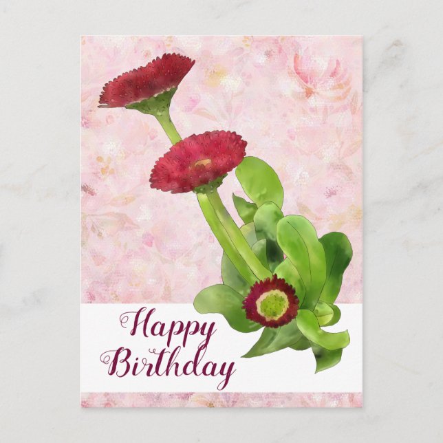 Tausendschön Postcard (Front)