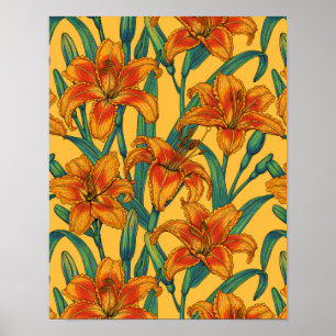 Tawny daylily flowers, blue and yellow poster