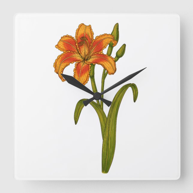 Tawny daylily square wall clock (Front)