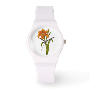 Tawny daylily watch