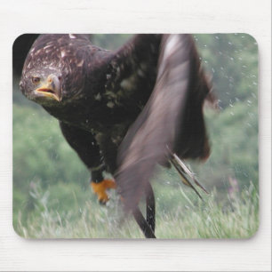 Tawny Eagle Mouse Mat