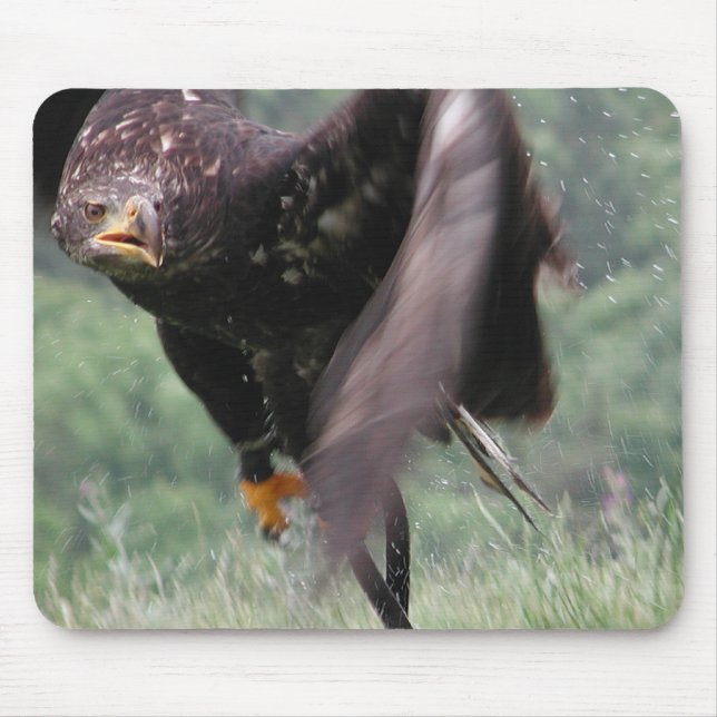 Tawny Eagle Mouse Mat (Front)