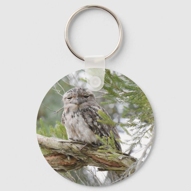 TAWNY FROGMOUTH OWL RURAL QUEENSLAND AUSTRALIA KEY RING (Front)