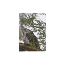 TAWNY FROGMOUTH OWL RURAL QUEENSLAND AUSTRALIA
