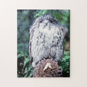 Tawny Frogmouth, Tasmania - Australia Jigsaw Puzzle