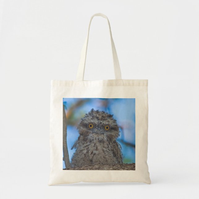 Tawny Frogmouth Tote Bag (Front)