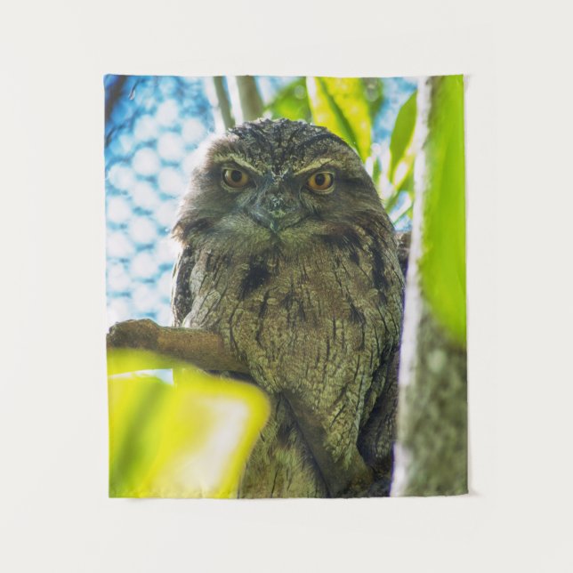 Tawny is No Owl Tapestry (Front)