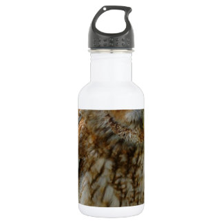 Tawny Owl 532 Ml Water Bottle