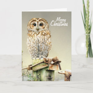 Tawny Owl in the snow fine art Christmas card