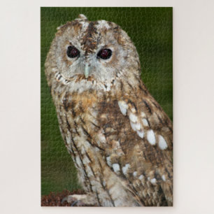 Tawny Owl Jigsaw Puzzle