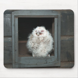 Tawny Owl Mouse Mat