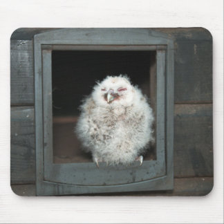 Tawny Owl Mouse Mat
