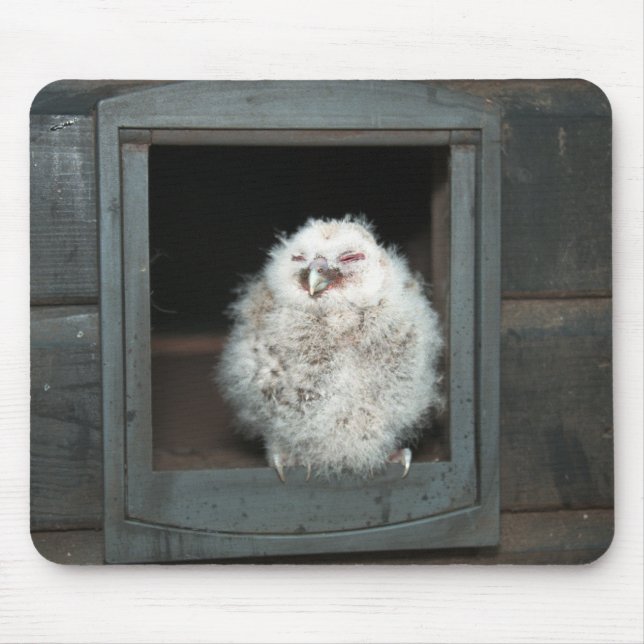 Tawny Owl Mouse Mat (Front)