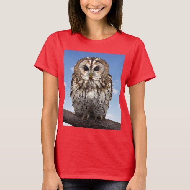 Tawny Owl T-Shirt (Front)