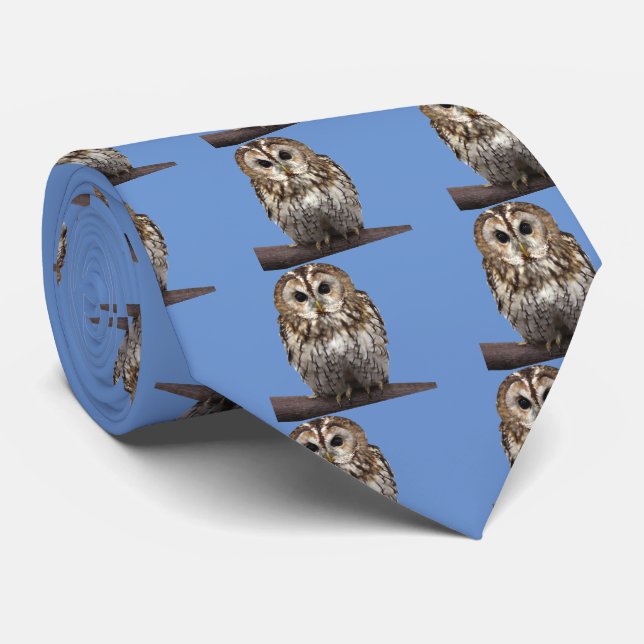 Tawny owl tie (Rolled)