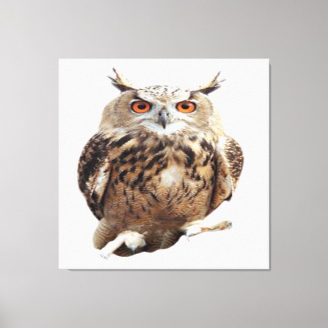 Tawny Owl with Claws Canvas Print (Front)