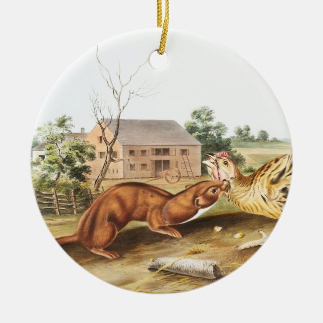 Tawny Weasel (Putorius fuscus) Illustration Ceramic Tree Decoration (Front)