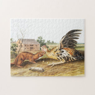 Tawny Weasel (Putorius fuscus) Illustration Jigsaw Puzzle