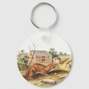 Tawny Weasel (Putorius fuscus) Illustration Key Ring