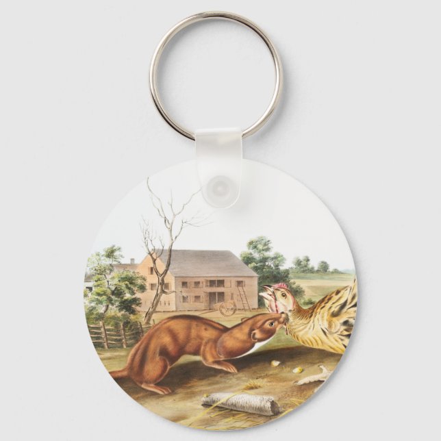 Tawny Weasel (Putorius fuscus) Illustration Key Ring (Front)
