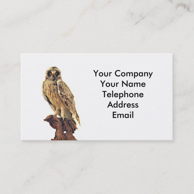 Taxidermy of an Owl Business Card (Front)