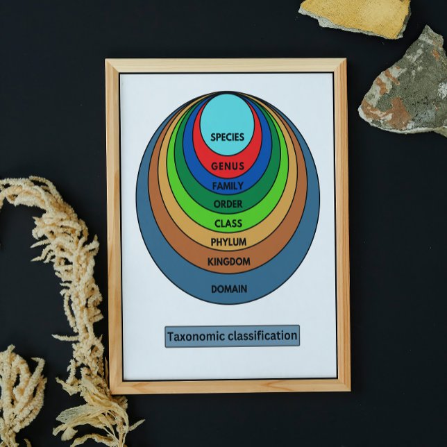 Taxonomic classification poster (Creator Uploaded)