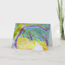 Taylor Mountain Regional Park Trail