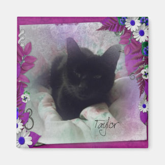 Taylor Refrigerator Magnet