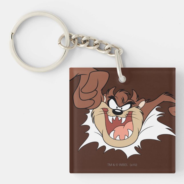 TAZ™ Bursting Through Page Key Ring (Front)