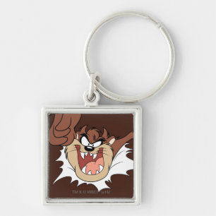 TAZ™ Bursting Through Page Key Ring