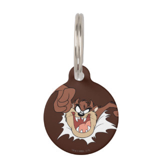 TAZ™ Bursting Through Page Pet Tag