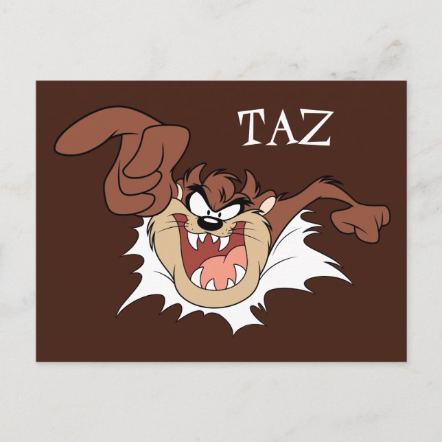 TAZ™ Bursting Through Page Postcard (Front)