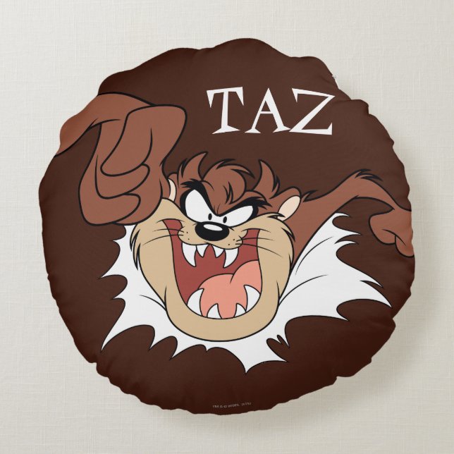 TAZ™ Bursting Through Page Round Cushion (Back)