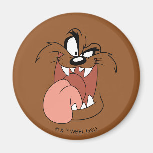 TAZ™ Crazy Smile Magnet