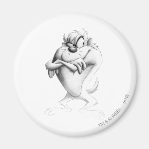 TAZ™ Drawing Magnet
