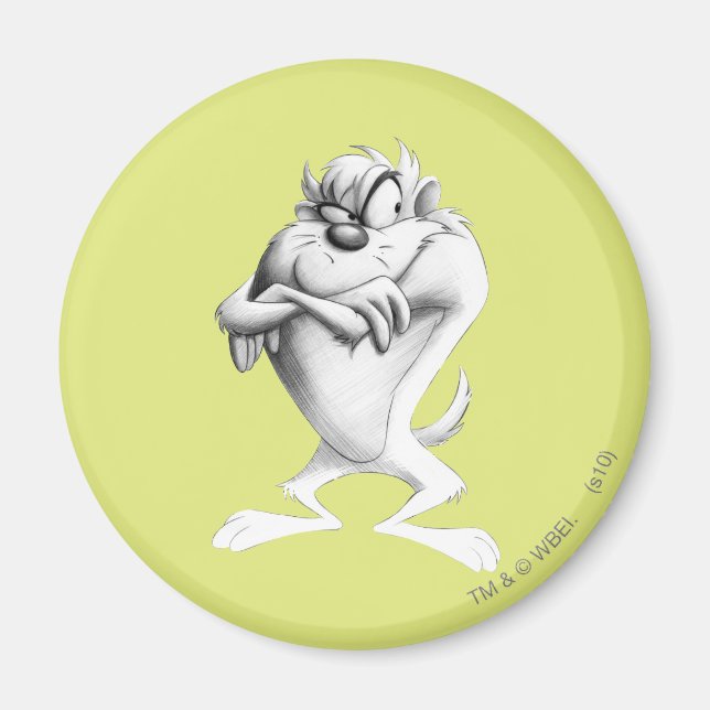 TAZ™ Drawing Magnet (Front)