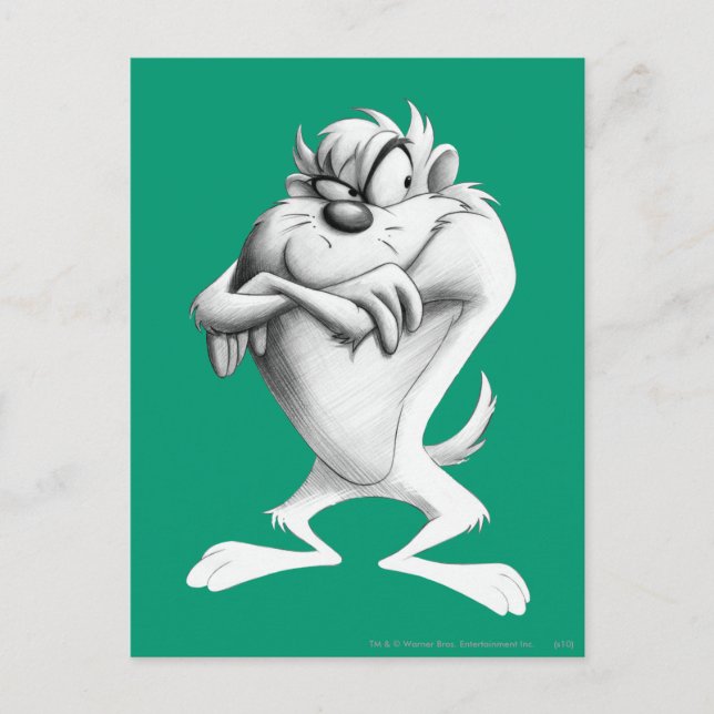 TAZ™ Drawing Postcard (Front)