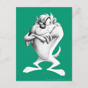 TAZ™ Drawing Postcard