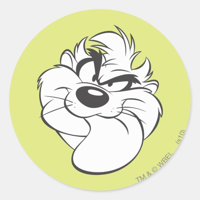 TAZ™ Expressive 15 Classic Round Sticker (Front)