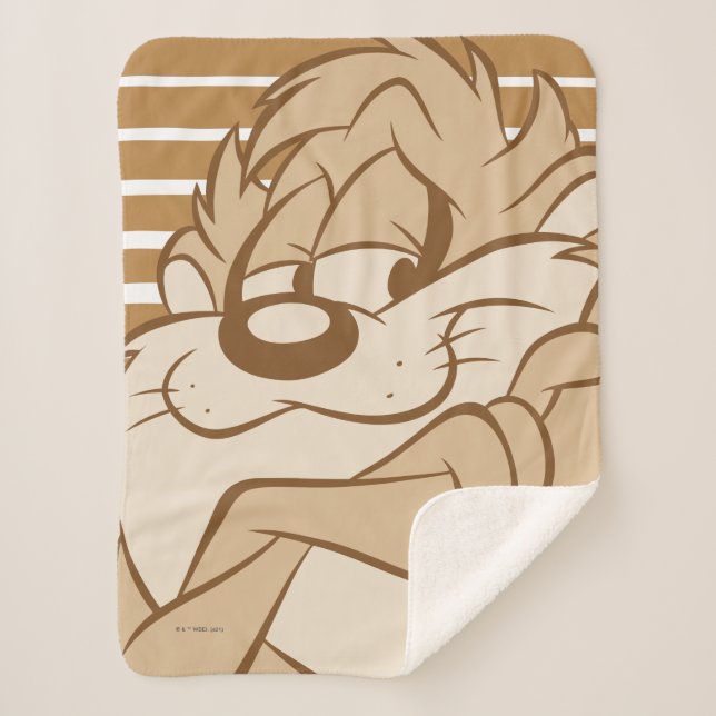 TAZ™ Expressive 31 Sherpa Blanket (Front)