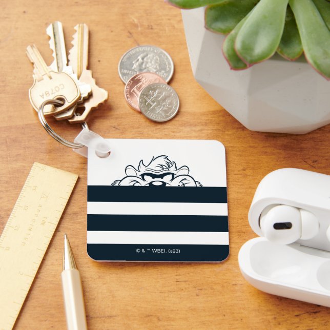 TAZ™ Hiding In Stripes Key Ring (Desk)
