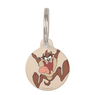 TAZ™ Leaping Pet Tag