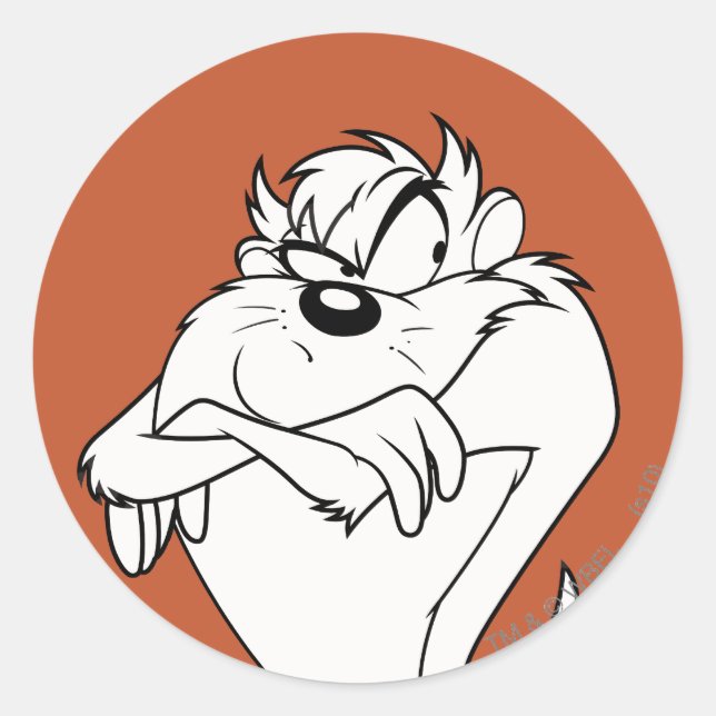 TAZ™ posing Classic Round Sticker (Front)