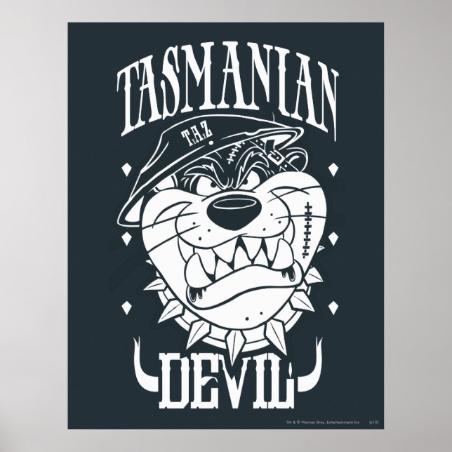 TAZ™ - Rebel Poster (Front)