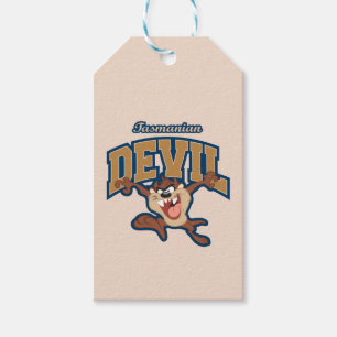 TAZ™ Tasmanian Devil Patch Gift Tags