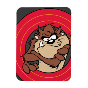 TAZ™ Through LOONEY TUNES™ Circles Magnet